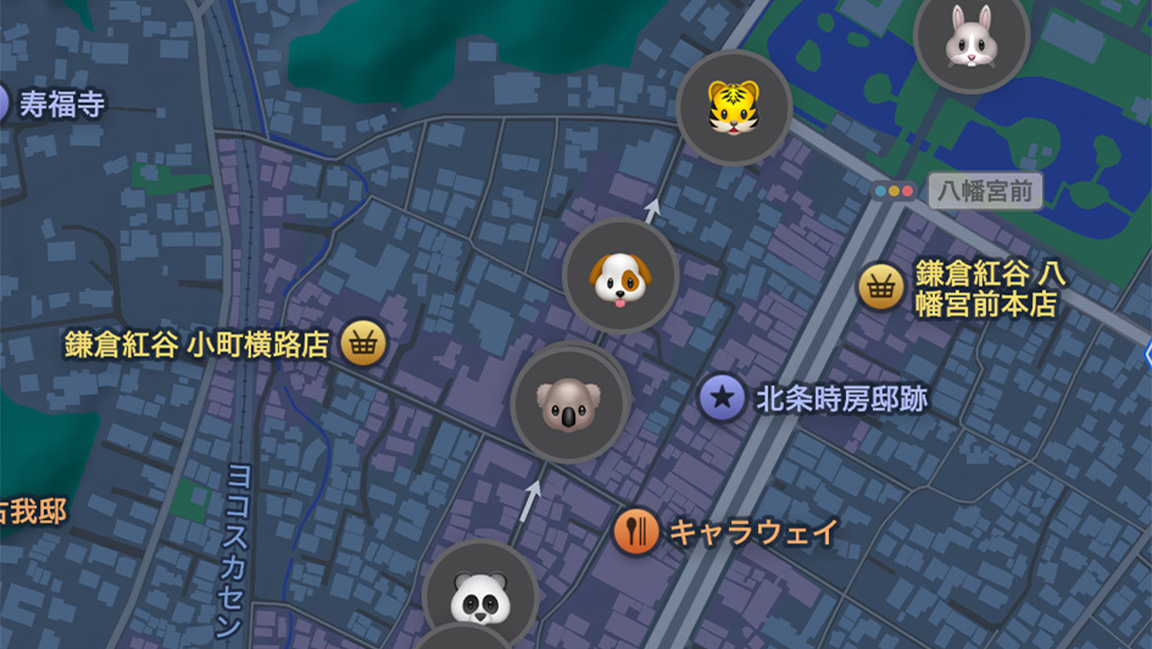 マップのAirTagの写真